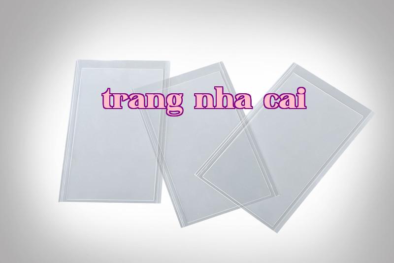 keo quang học OCA...